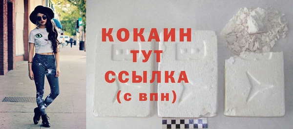 мет Новодвинск