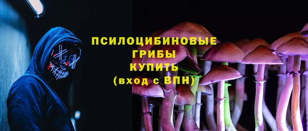 гидропоника Нягань