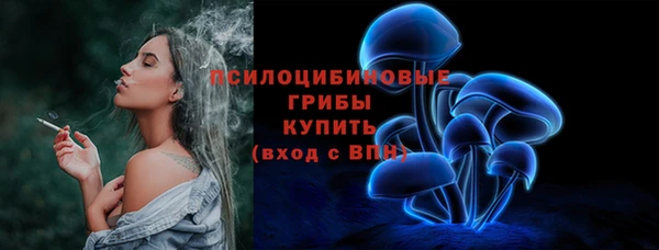 соль курить ск Няндома