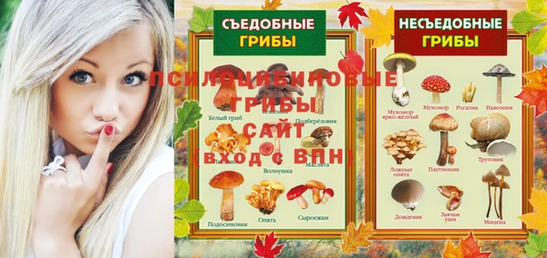 мет Новодвинск
